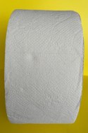 PAPIER TOALETOWY JUMBO 120M(12SZT) BIAŁY 20X9,1CM 65% BIAŁOŚCI 2 WARSTWY 270065 PUFFO