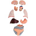 MODEL ANATOMICZNY 3D CIAŁA CZŁOWIEKA 27 ELEMENTÓW 76 CM