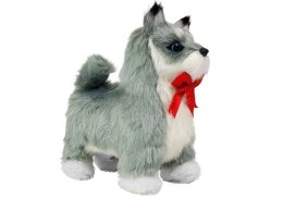 INTERAKTYWNY PIES HUSKY PORUSZA SIĘ, SZCZEKA