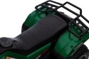 QUAD NA AKUMULATOR JC915 ZIELONY